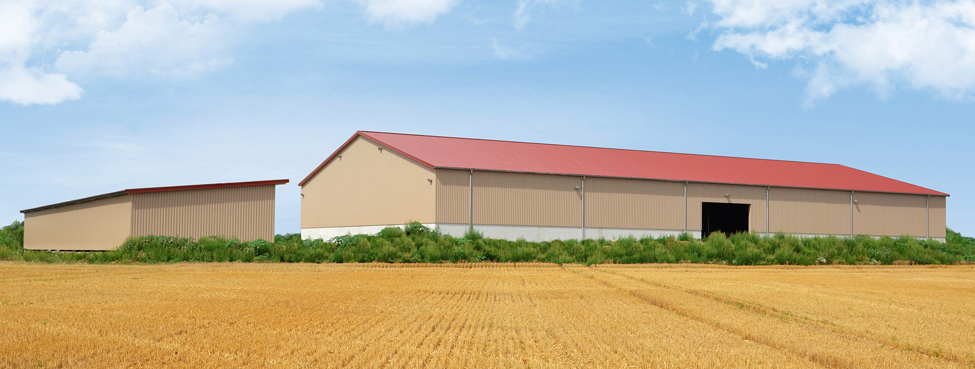 Sklady obilovin a sypkých materiálů - Haly - WOLF System
